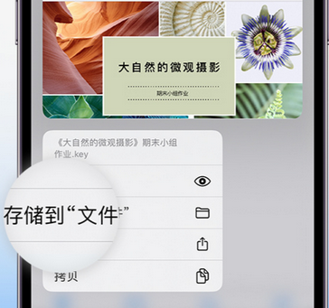 渝北apple维修中心分享iPhone文件应用中存储和找到下载文件