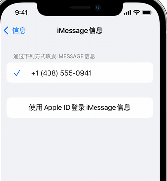 渝北apple维修iPhone上无法正常发送iMessage信息 