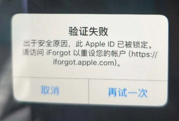 渝北iPhone维修分享iPhone上正常登录或使用AppleID怎么办 