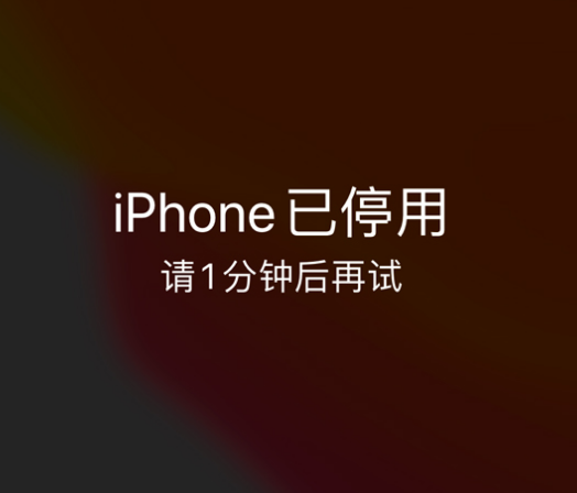 渝北苹果手机维修分享:iPhone 显示“不可用”或“已停用”怎么办？还能保留数据吗？ 