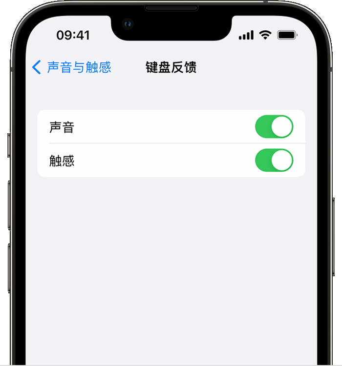 渝北苹果14维修店分享如何在 iPhone 14 机型中使用触感键盘 