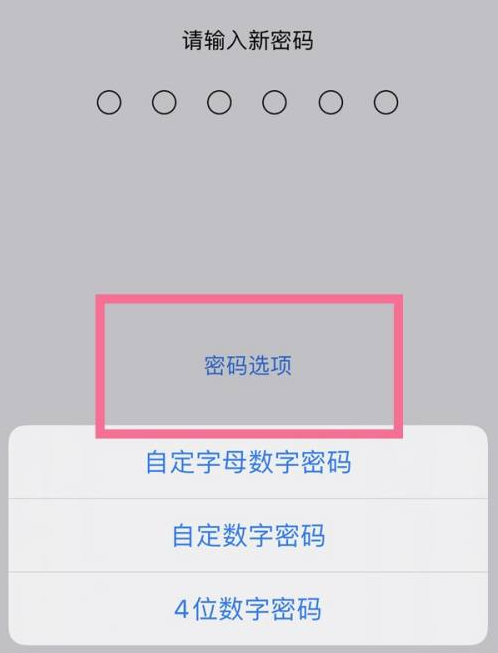 渝北苹果14维修分享iPhone 14plus设置密码的方法 
