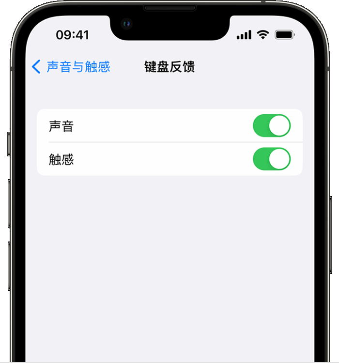 渝北苹果14维修分享iPhone 14 系列机型如何开启键盘声音或触感反馈 