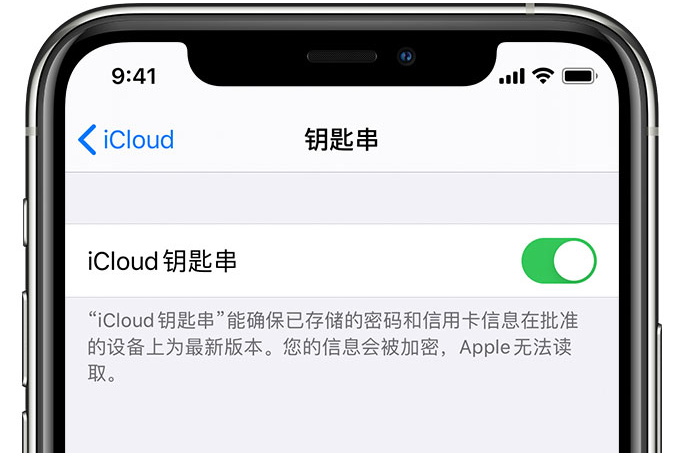 渝北苹果手机维修分享在 iPhone 上开启 iCloud 钥匙串之后会储存哪些信息 