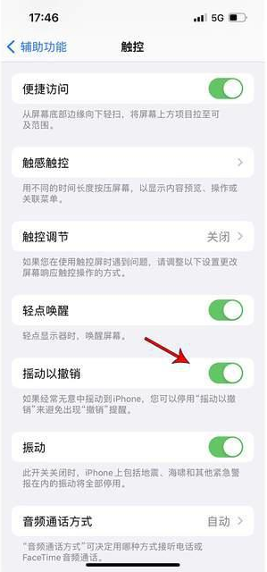 渝北苹果手机维修分享iPhone手机如何设置摇一摇删除文字 