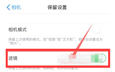 渝北苹果13维修分享iPhone13拍照有绿点是怎么回事 