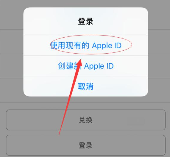 渝北苹果手机维修分享两台iPhone设备可以同时登录一个Apple ID吗 
