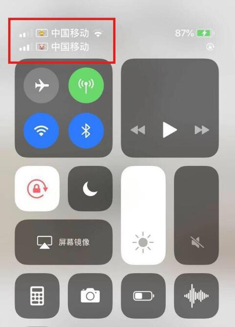 渝北苹果手机维修分享为 iPhone 12 双卡设置标签 