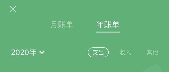 渝北苹果手机维修分享如何在 iPhone 上查看支付宝和微信年支出账单 